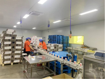 鐵富鎮(zhèn)&ldquo;僵尸企業(yè)&rdquo; 活起來(lái)